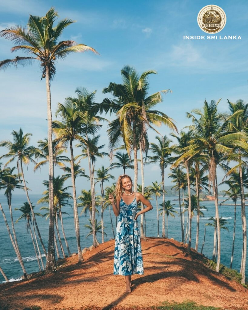 coconut tree hill
