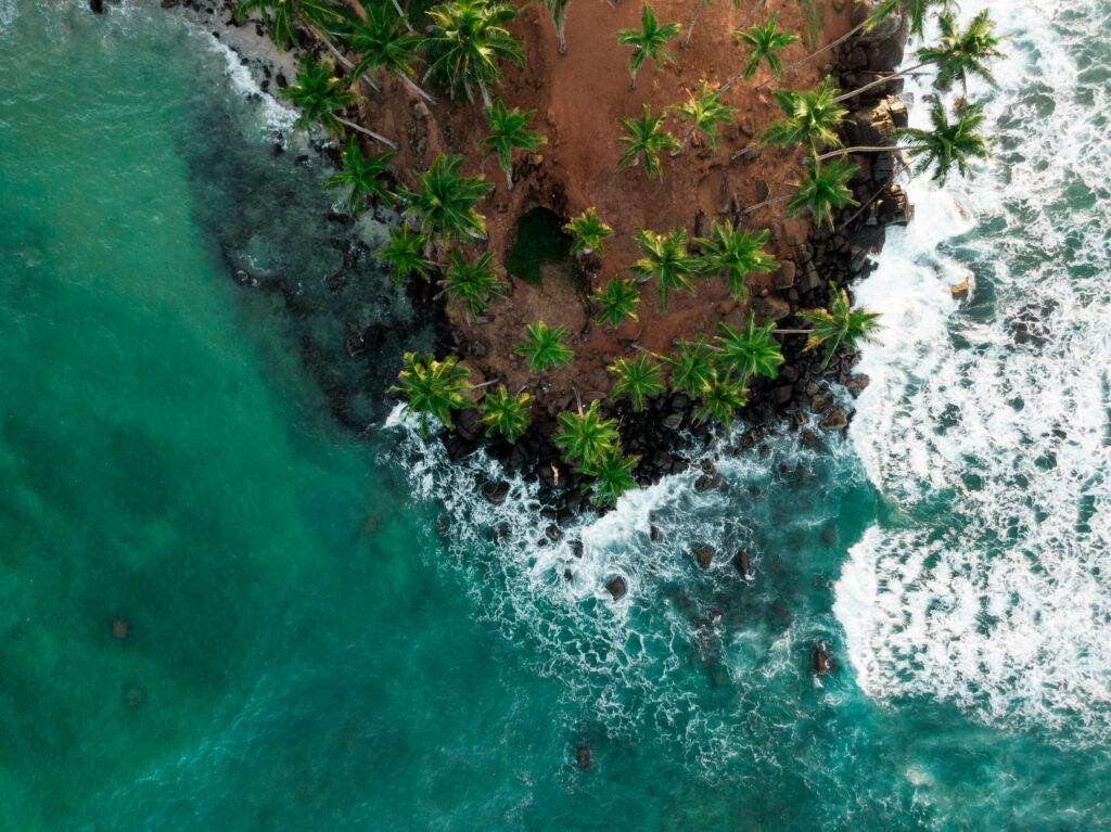 coconut tree hill mirissa