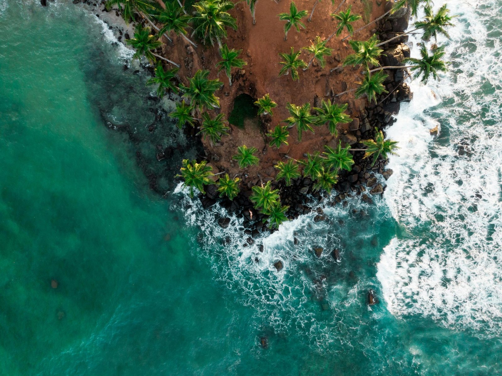 coconut tree hill mirissa