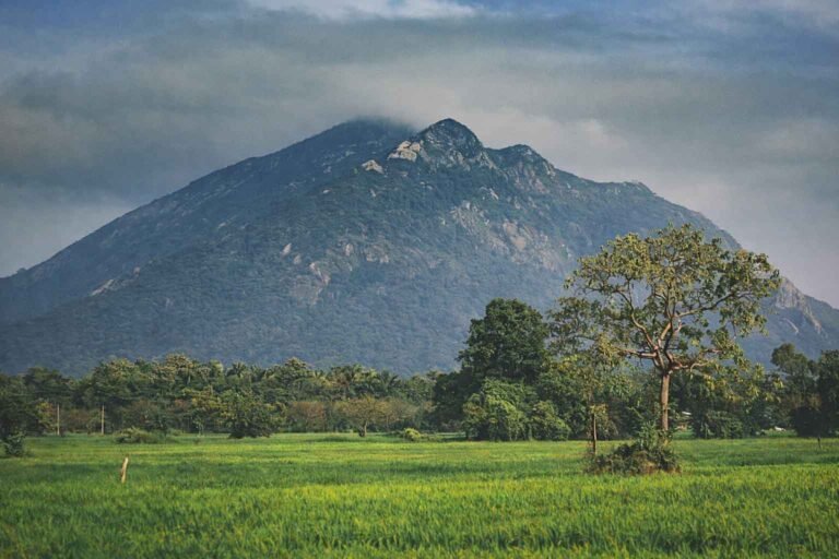 Ritigala mountain