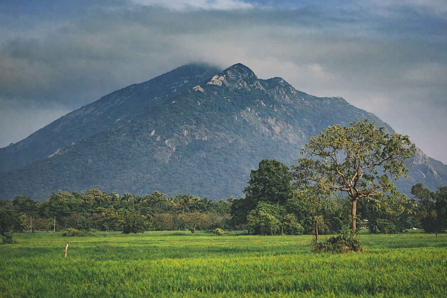 Ritigala mountain