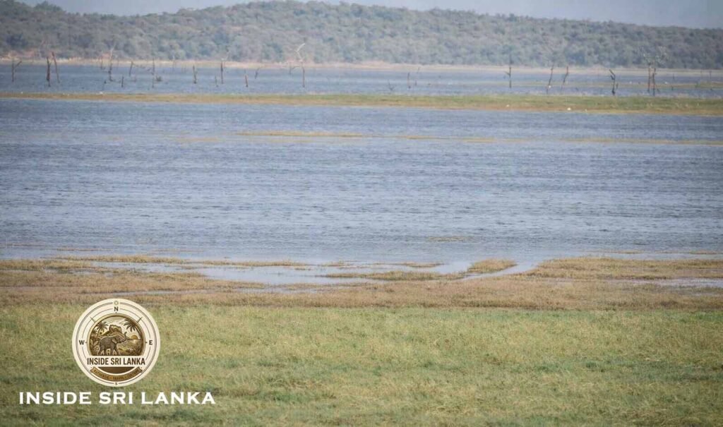 kaudulla lake