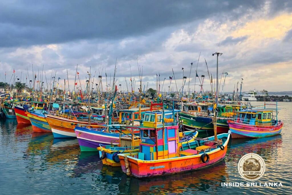 mirissa habour