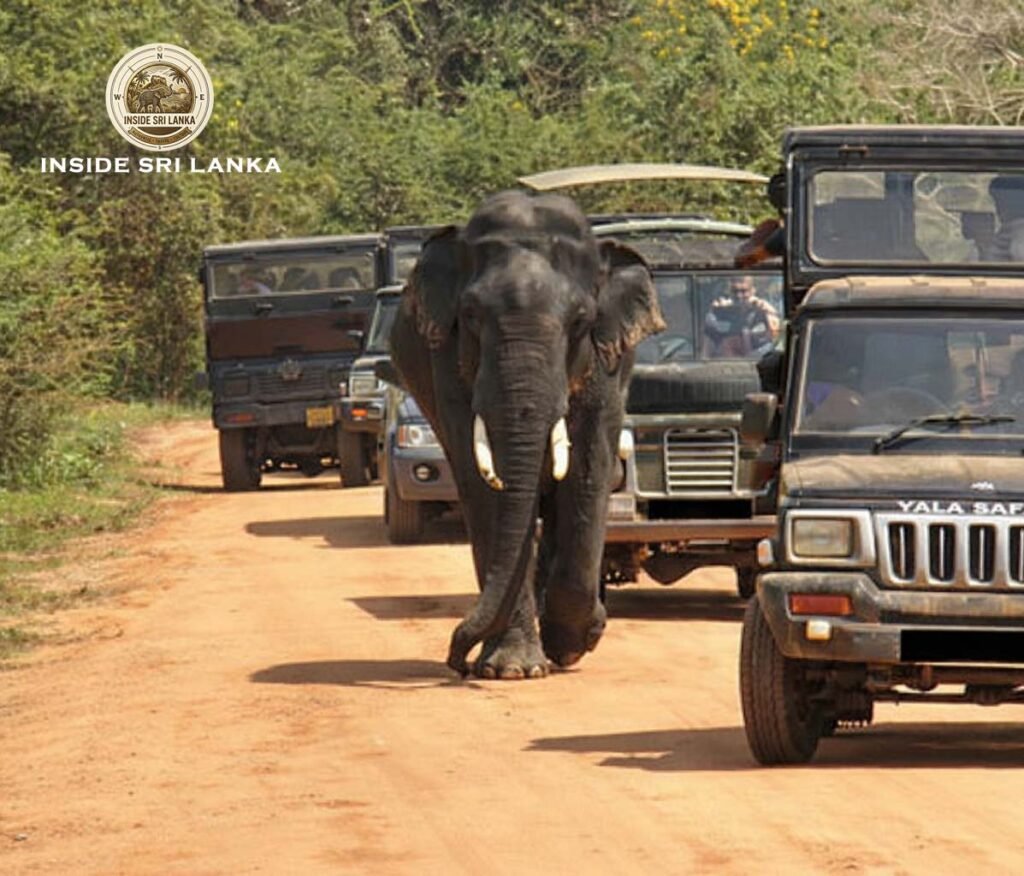 yala national park